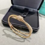 Tiffany and Co TIFFANY Knot Double Row Hinged Bangle - Image 2