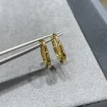 Tiffany and Co TIFFANY Look Small Earrings - Image 3